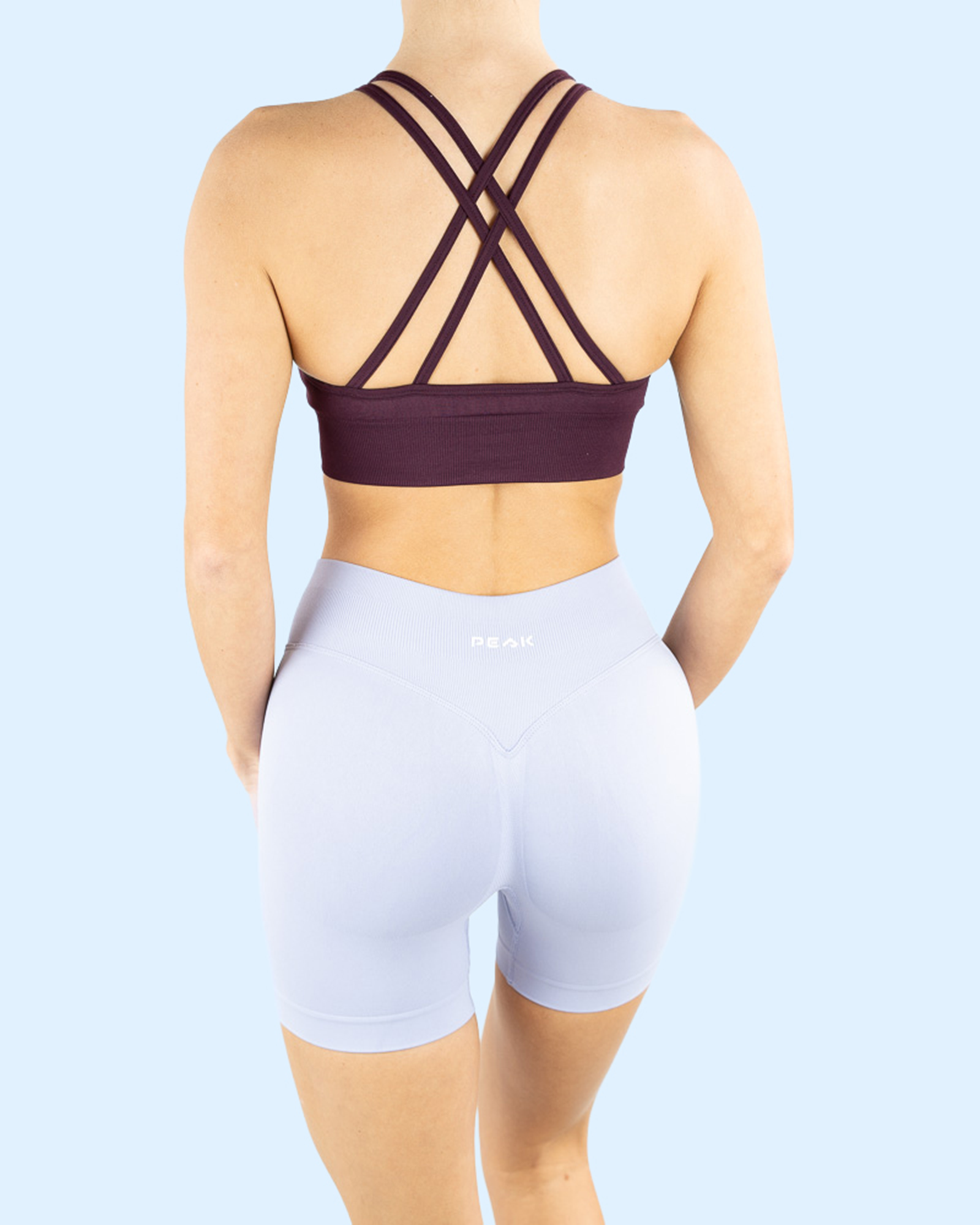 Elevate Sports Bra - Purple